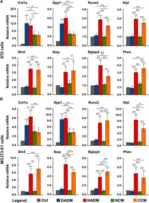 Positive Effects of Three-Dimensional Collagen-Based Matrices on the Behavior of Osteoprogenitors